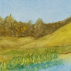 The Winter Pond