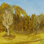 The Winter Pond