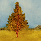 The Horse Pasture (8x10" Print)