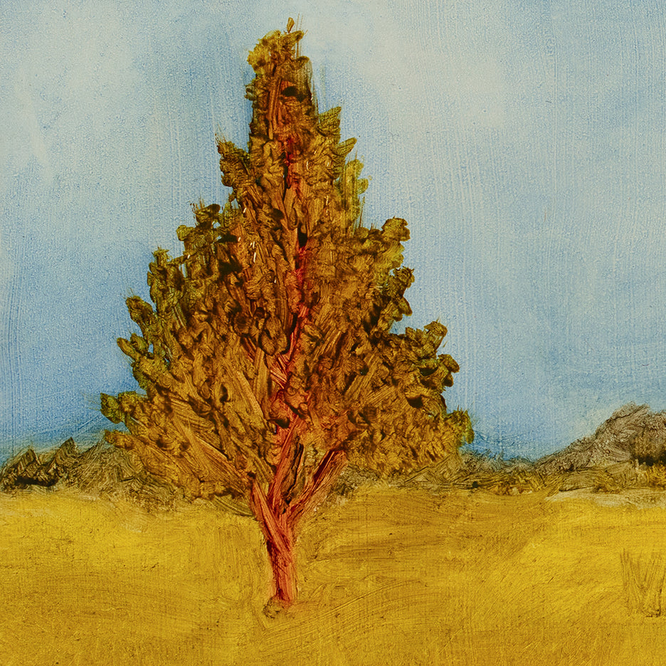 The Horse Pasture