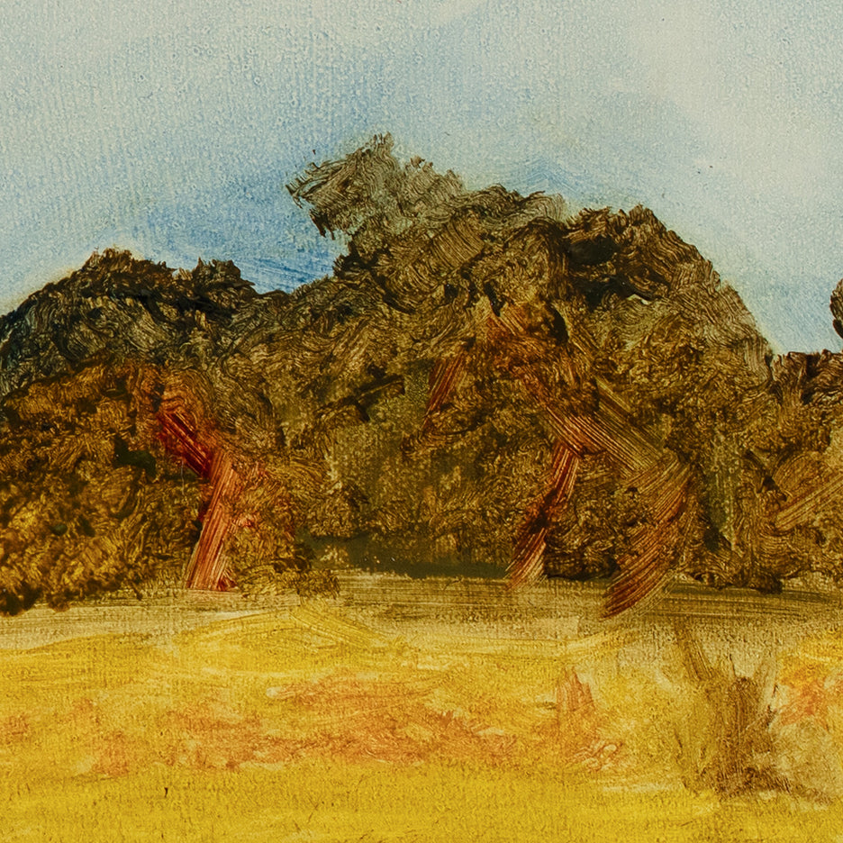 The Horse Pasture