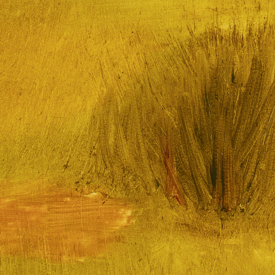 The Horse Pasture