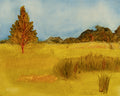The Horse Pasture (8x10" Print)