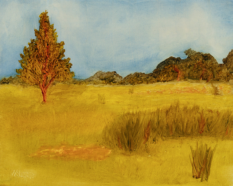 The Horse Pasture