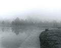 The Haunting Boardwalk (8x10" Silver Gelatin Print)