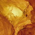 Primitive Skull