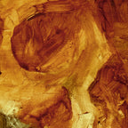 Primitive Skull