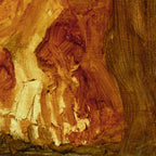 Primitive Skull