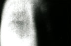 Portrait Grotesque (8x10" Silver Gelatin Print)
